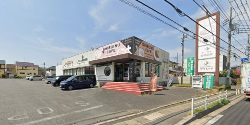 SHIROINU CAFE(シロイヌ カフェ)