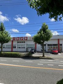キヌヤ高陽店