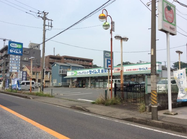 ドラッグセイムス 相武台2丁目店