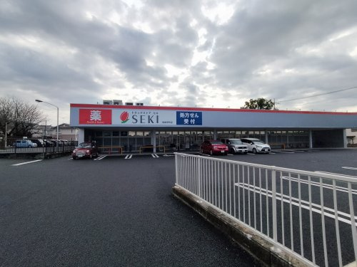 ドラッグストア セキ 鴻巣栄町店