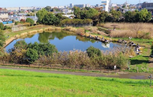 まこも池緑地