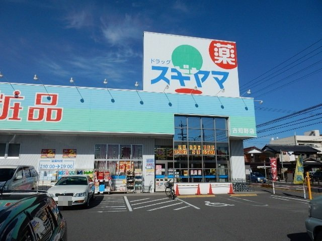 ドラッグスギヤマ 古知野店