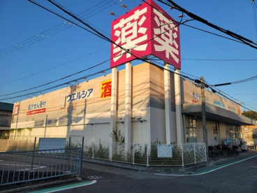ウエルシア尼崎西立花店の画像1