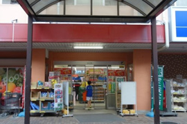 ビッグ・エー横浜南神大寺団地店