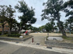 水堂公園の画像