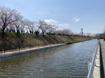 住吉堤防敷
