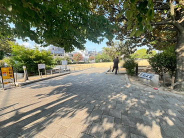 若松公園の画像1