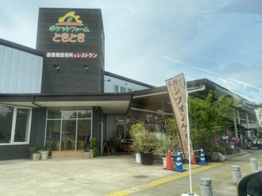ポケットファームどきどきつくば牛久店の画像1