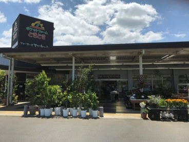 ポケットファームどきどきつくば牛久店の画像2