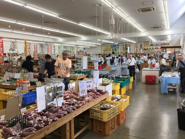 ポケットファームどきどきつくば牛久店の画像3