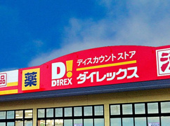 ダイレックス ライフガーデン水巻店