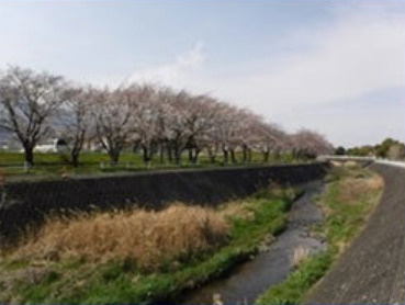 坪川公園