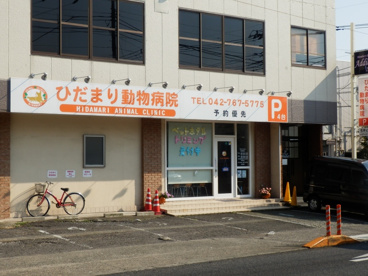 陽 だまり 動物 病院