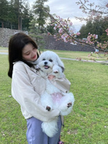 坪内真子の画像2