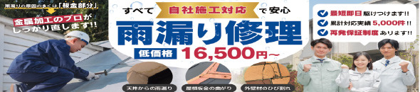 雨漏り修理