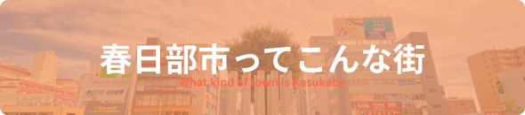 春日部ってこんな街